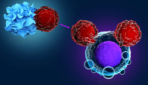 Immunotherapie car-t-cellen kanker