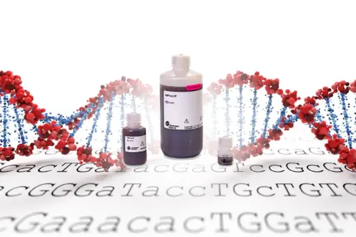 NGS Library kits & Clean-up reagents
