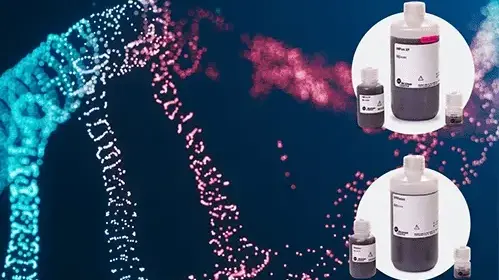 Beckman Coulter  Nucleic acid extraction solutions - kits for manual and automated extraction
