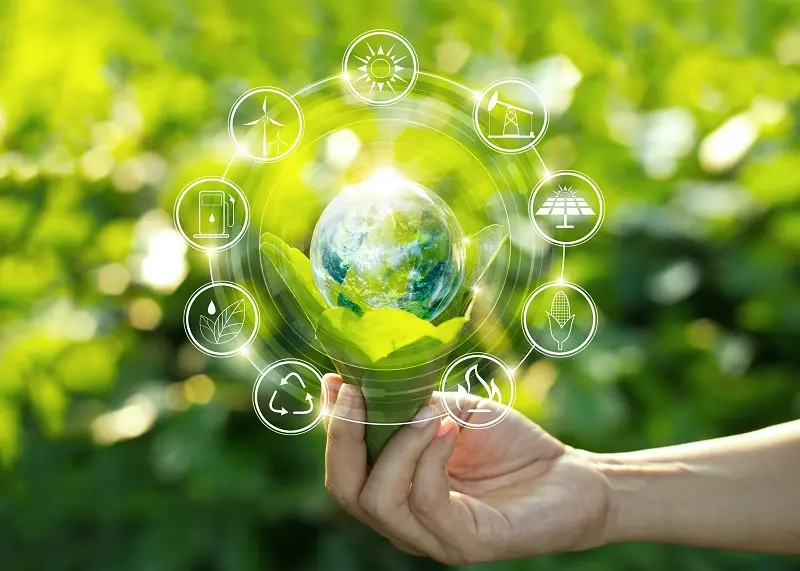 sustainability