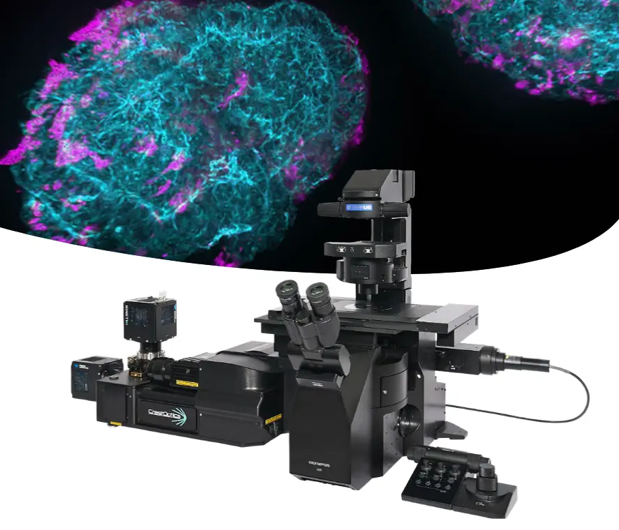 Evident microscopy (formerly Olympus) IXplore IX85 SpinXL