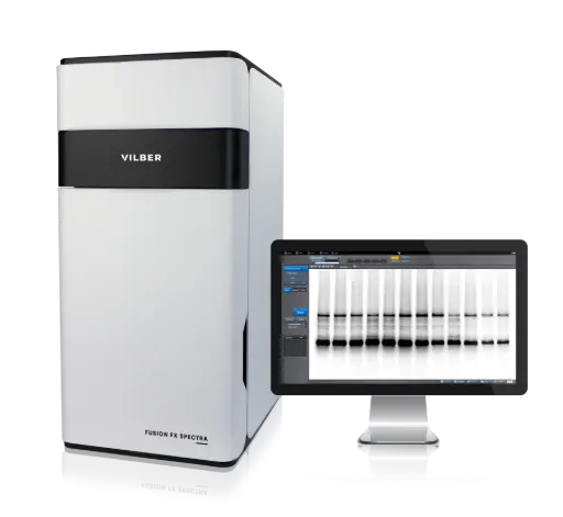 Vilber Fusion FX Spectra Vilber Fusion FX Spectra Western blot imaging and protein quantification