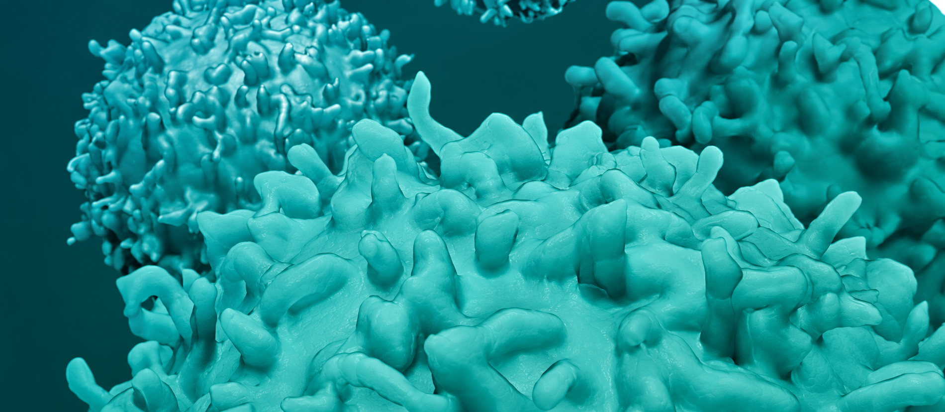 Pacmap Flow Cytometry ANALIS ACADEMY 17.11.2026 - Advanced Flow Cytometry