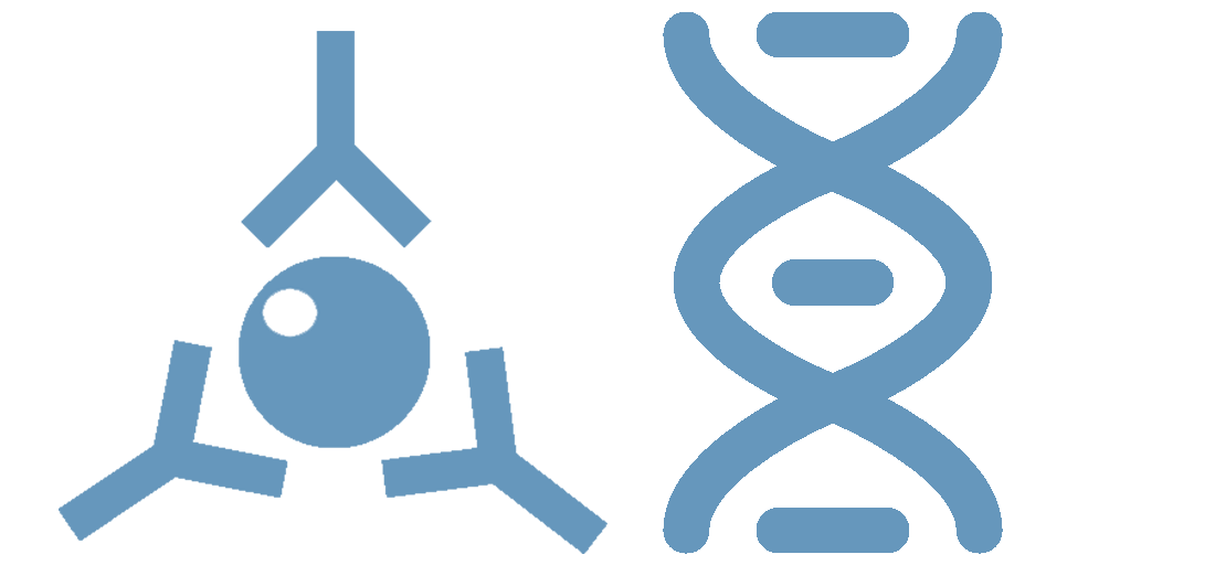 immunothérapie activation cellulaire et transfert de gènes activation transfert de gènes