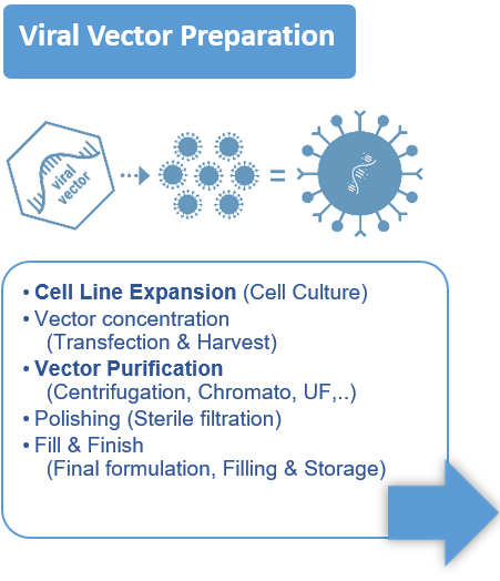 Préparation du vecteur viral Expansion de la lignée cellulaire Purification du vecteur