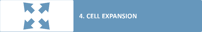 expansion cellulaire