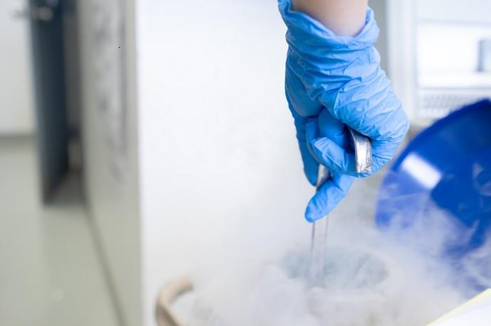 cryogenic storage - sample preservation in liquid Nitrogen N2 tank