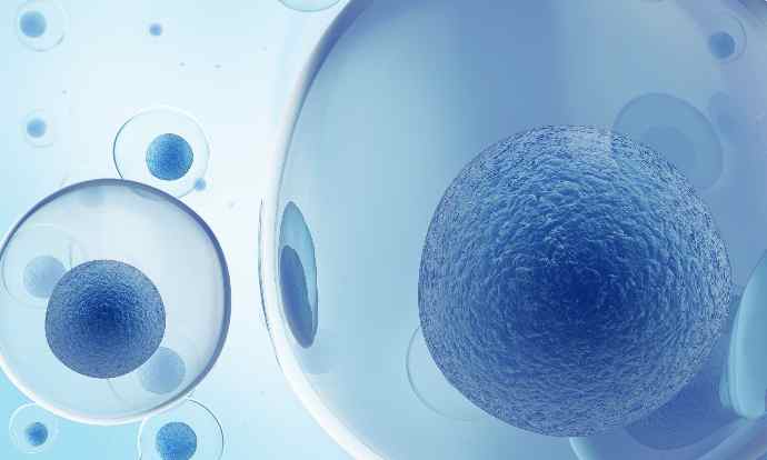 Working with cells laboratory workflow cell culture fermentation sterile precise cGMP