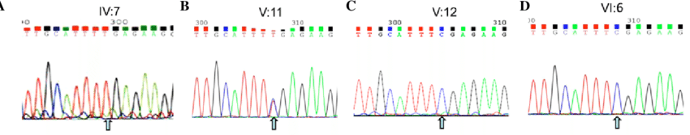 analyse du séquençage rt pcr