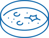 icon Cell Line Development