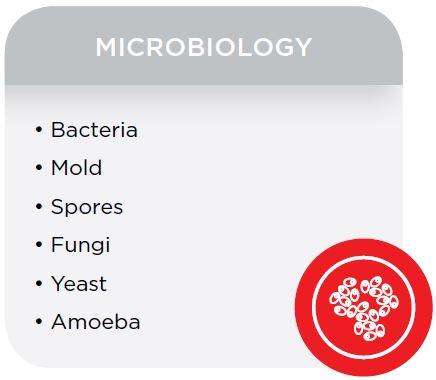 Counting applications in Microbiology Bacteria yeast Mold Spores Fungi Amoeba