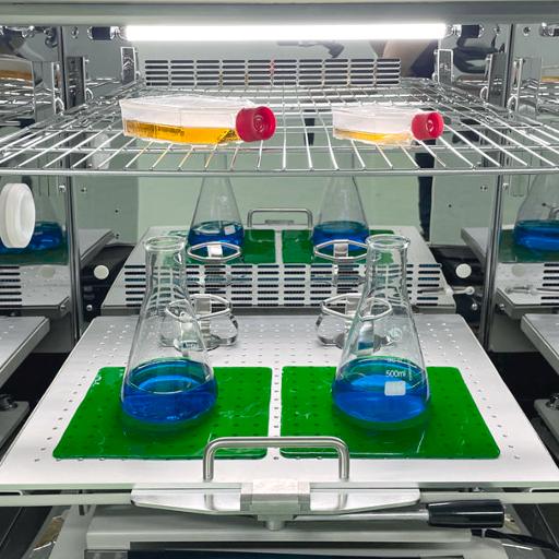 Sticky Mat for shake flasks in Shaking incubator