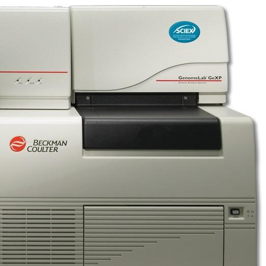 GenomeLab GeXP Sciex Beckman Sequancing Next-Gen DNA