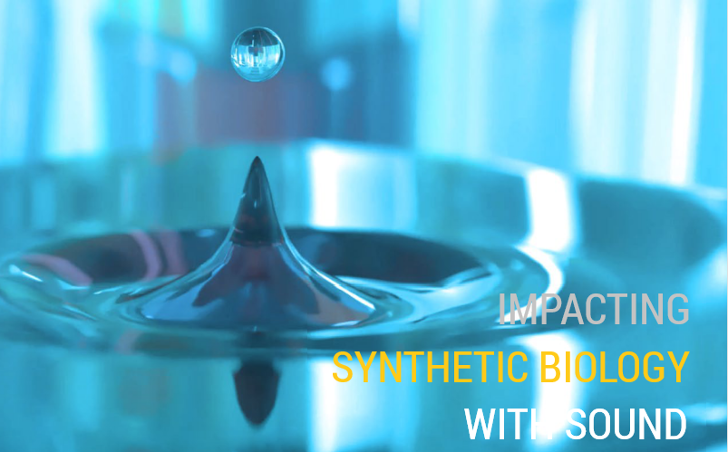 Beckman Echo Impacting Synthetic Biology with sound