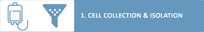 Cell Collection & isolation during CAR-T Cell Therapy process