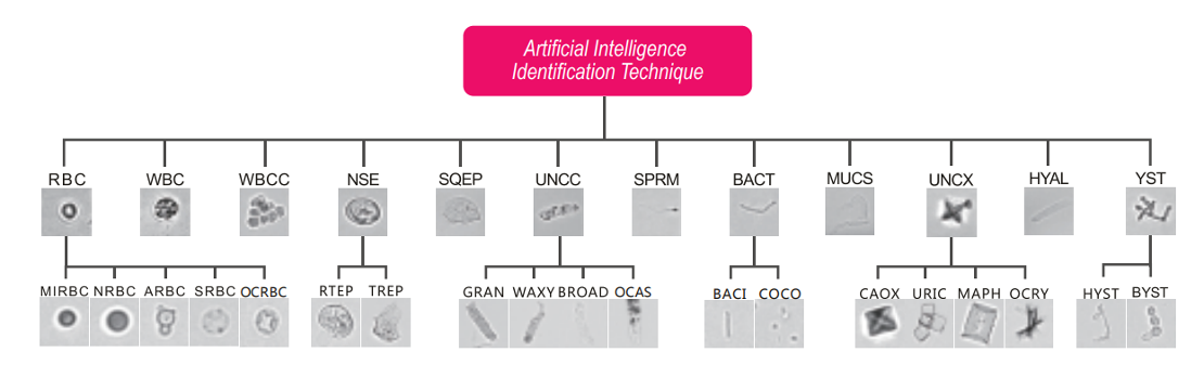 Artificial Intelligence - Automatic Elements Classification