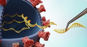 Vaccine development research and production mRNA