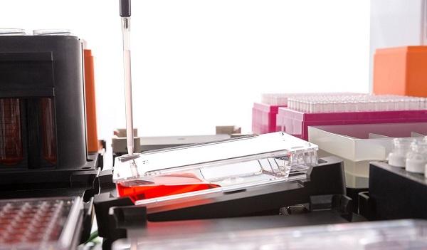 Automating cell culture worfklows