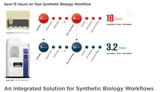 Miniaturize & Accelerate DNA Assembly & QC for Gene Synthesis
