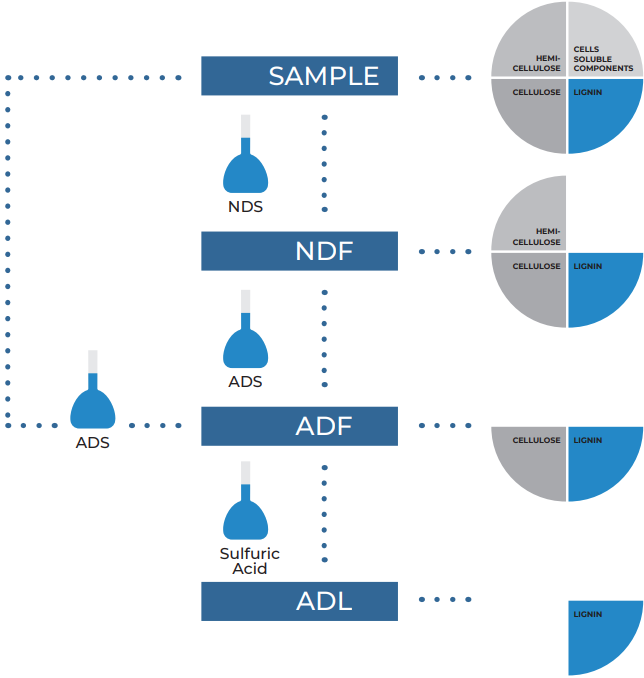 VELP Diagram Detergent Vezel Van Soest Methode NDF ADF ADL Neutraal detergens, Zuur detergens lignine
