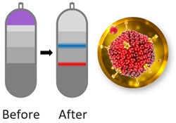 gradient de densité équilibre zonal Beckman Coulter centrifugeuse réactifs gradient de densité équilibre zonal