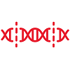 Séparation des biomolécules Gradient d'ultracentrifugation Beckman coulter utilisé pour la séparation de biomolécules
