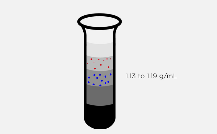 Gradient de densité par ultracentrifugation Gradient de densité par ultracentrifugation pour l'isolement des exosomes et des EV