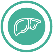 HEPATIC FIBROSIS Marker