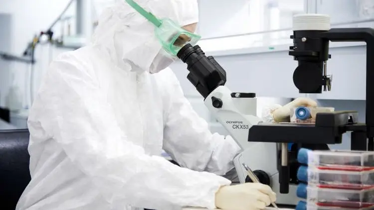 Evident CKX53 inverted microscope Evident CKX53 Olympus inverted microscope scientist observation of cells in T-Flasks