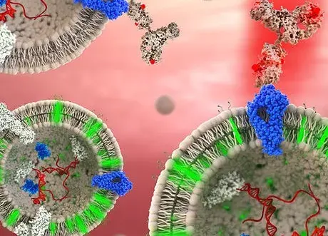 ACOERELA-Extracellular Vesicles Dyes:
