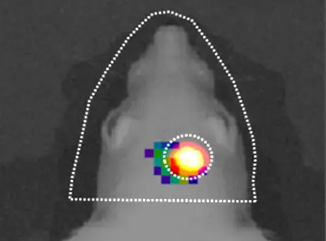 ACOERELA-NR-II Tumor Tracking Dye: