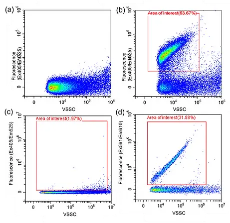 Flow cytometry analysis of exosomes labelled with Acoerela Extracellular Vesicles Dye.