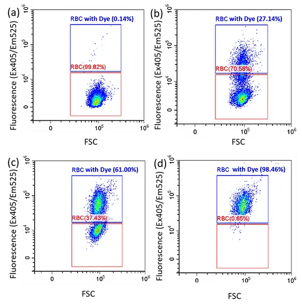 ACOERELA- Mammalian Cells -Red Blood Cell Labelling