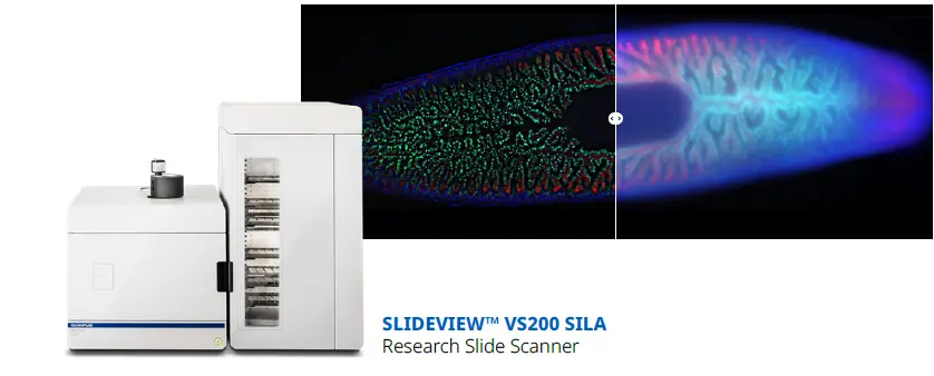 EVIDENT SLIDEVIEW™ VS200 - Universal Whole Slide Imaging Scanner EVIDENT SLIDEVIEW™ VS200 - Universal Whole Slide Imaging Scanner - SILA