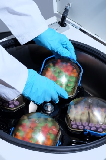 Scientist handling Sigma 4-5L benchtop centrifuge with blood samples and biosafe lid