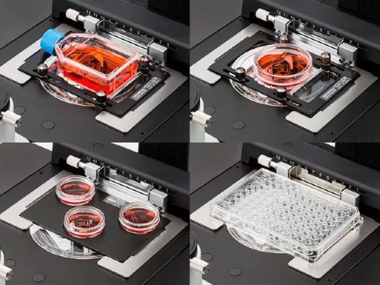 CKX53 Compact Cell Culture Microscope Accommodates Variety of Cell Culture Containers