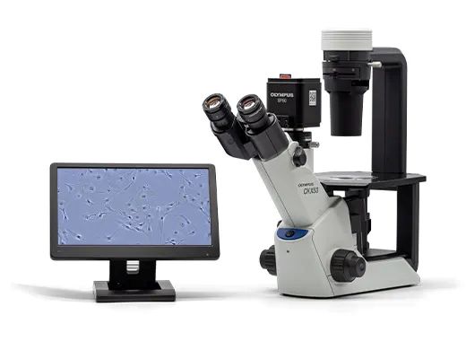 CKX53 Compact Cell Culture Microscope with Olympus Wireless Digital Camera EP-50 and Heads-Up Display