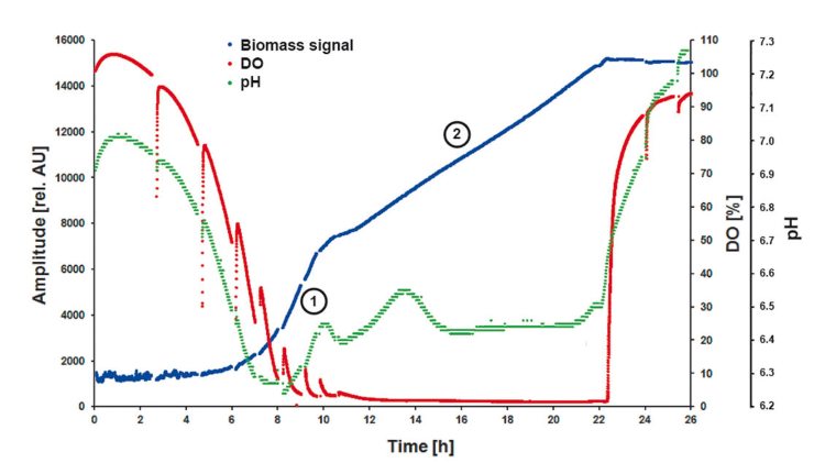 Shake Flask Reader Vario online K max in Complex MediumGraphic