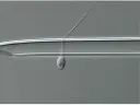 Differential interference contrast image for IMSI sperm selection