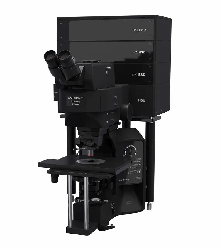 Illustration of FV5000's modular design - Confocal Upright system For electrophysiology.webp