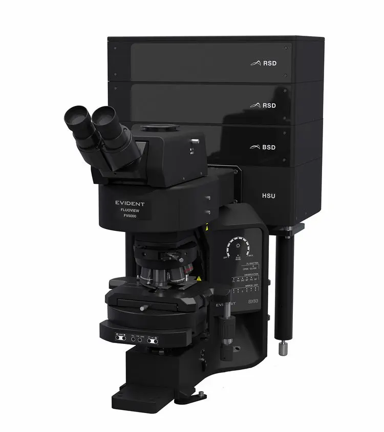 Illustration of FV5000's modular design - Confocal Upright system For glass slide sample imaging.webp