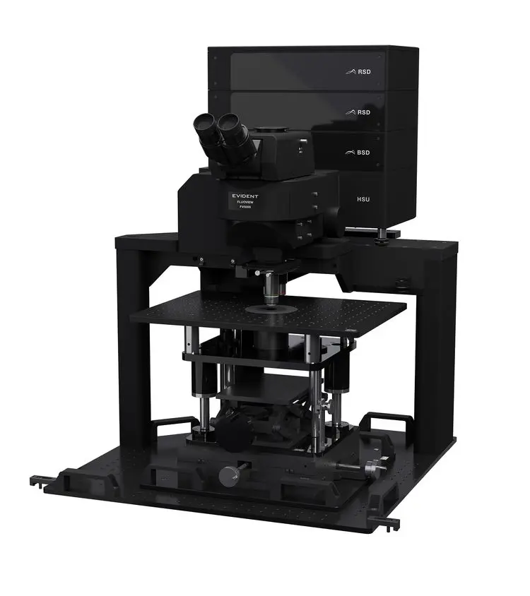 Illustration of FV5000's modular design - Confocal Gantry system For in vivo observation that requires maximum space.webp