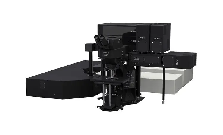 Illustration of FV5000's MPE design - Multiphoton Upright system - large focus stroke From tissue slices to live mice and other small animals.webp