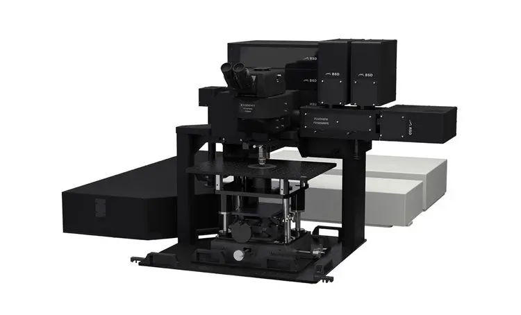Illustration of FV5000's MPE design - Multiphoton Gantry system - large working space below the objective.webp