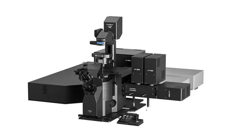 Illustration of FV5000's MPE design - Multiphoton Inverted system -observation of 3D cultures and multicellular clusters.webp