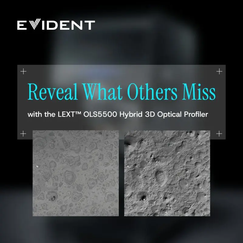 Evident LEXT™ OLS5500 bringing out subtle surface relief and fine boundaries invisible under conventional lighting.webp