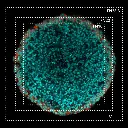 IX85-spin-xl-picture-600µm-HT-29-spheroid-25Xobjective-DAPI(cyan)-phalloidin(red).webp