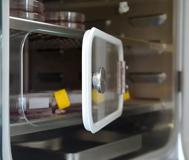 CO2-incubator-Probenschnellzugriff-100-85_Web_670x515.webp