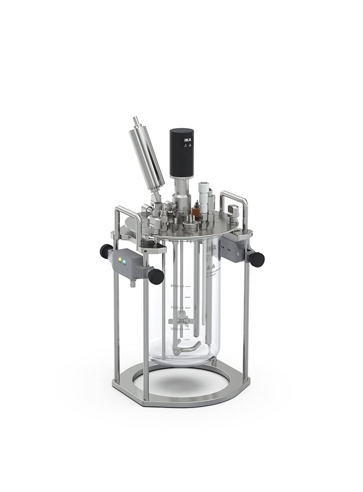 HABITAT ferment sw 2