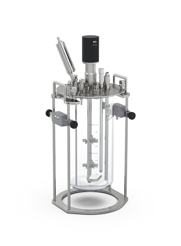 HABITAT ferment sw 5